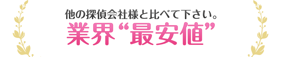 他の探偵会社様と比べて下さい。業界“最安値”